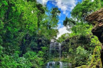 Foto - Cachoeira e Restaurante França