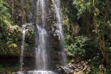 Foto - Cachoeira da Mata