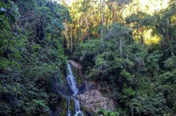 Foto - Cachoeira do Vale (43)99633-7283