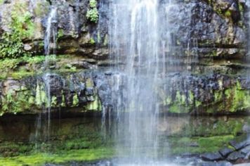 Foto - Cachoeira da Mata