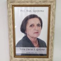 VERA LUCIA DA SILVA GOLONO