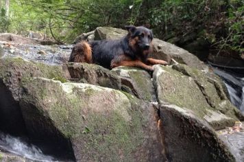 Foto - Cachoeira França